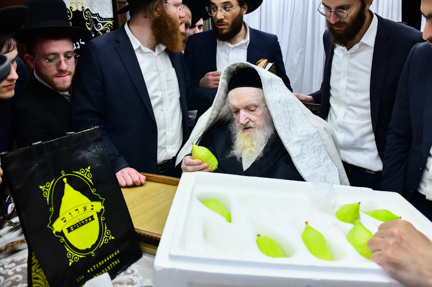 גדולי ישראל בקבלת אתרוגים לקראת חג הסוכות