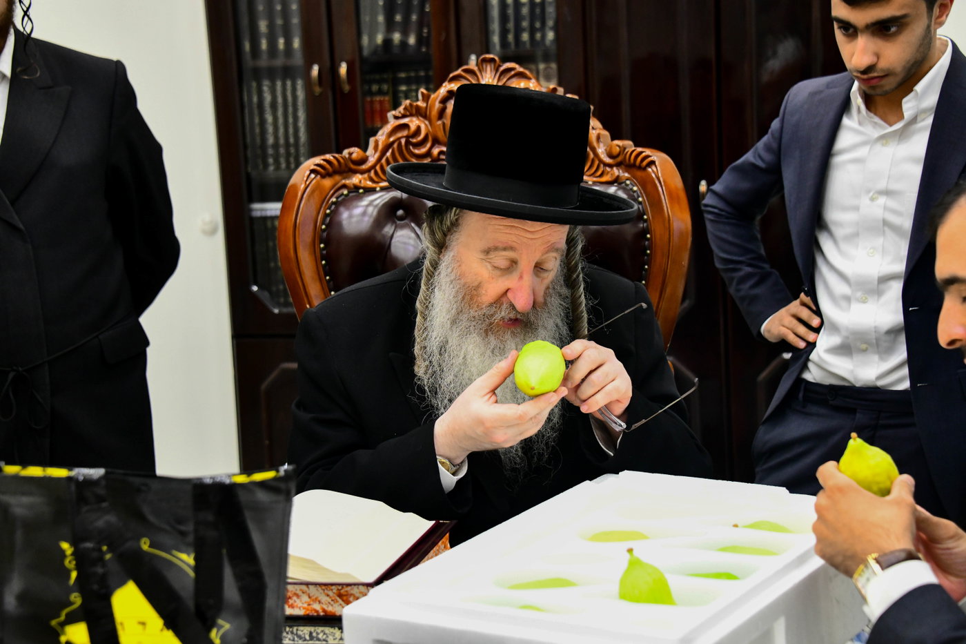 האדמו"ר מביאלה בקבלת אתרוגים לקראת חג הסוכות