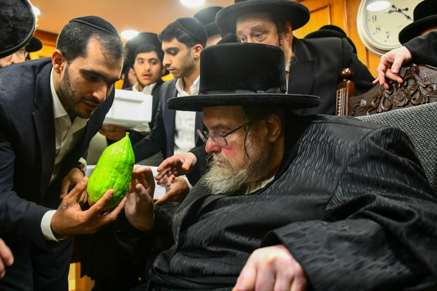 האדמו"ר מבעלזא בקבלת אתרוגים לקראת חג הסוכות