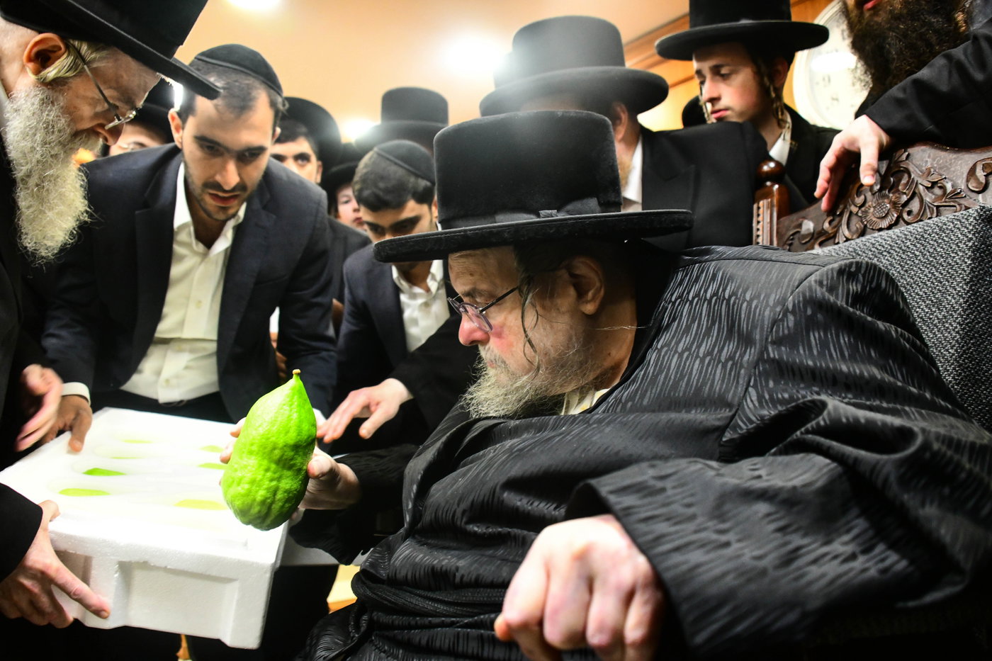 האדמו"ר מבעלזא בקבלת אתרוגים לקראת חג הסוכות