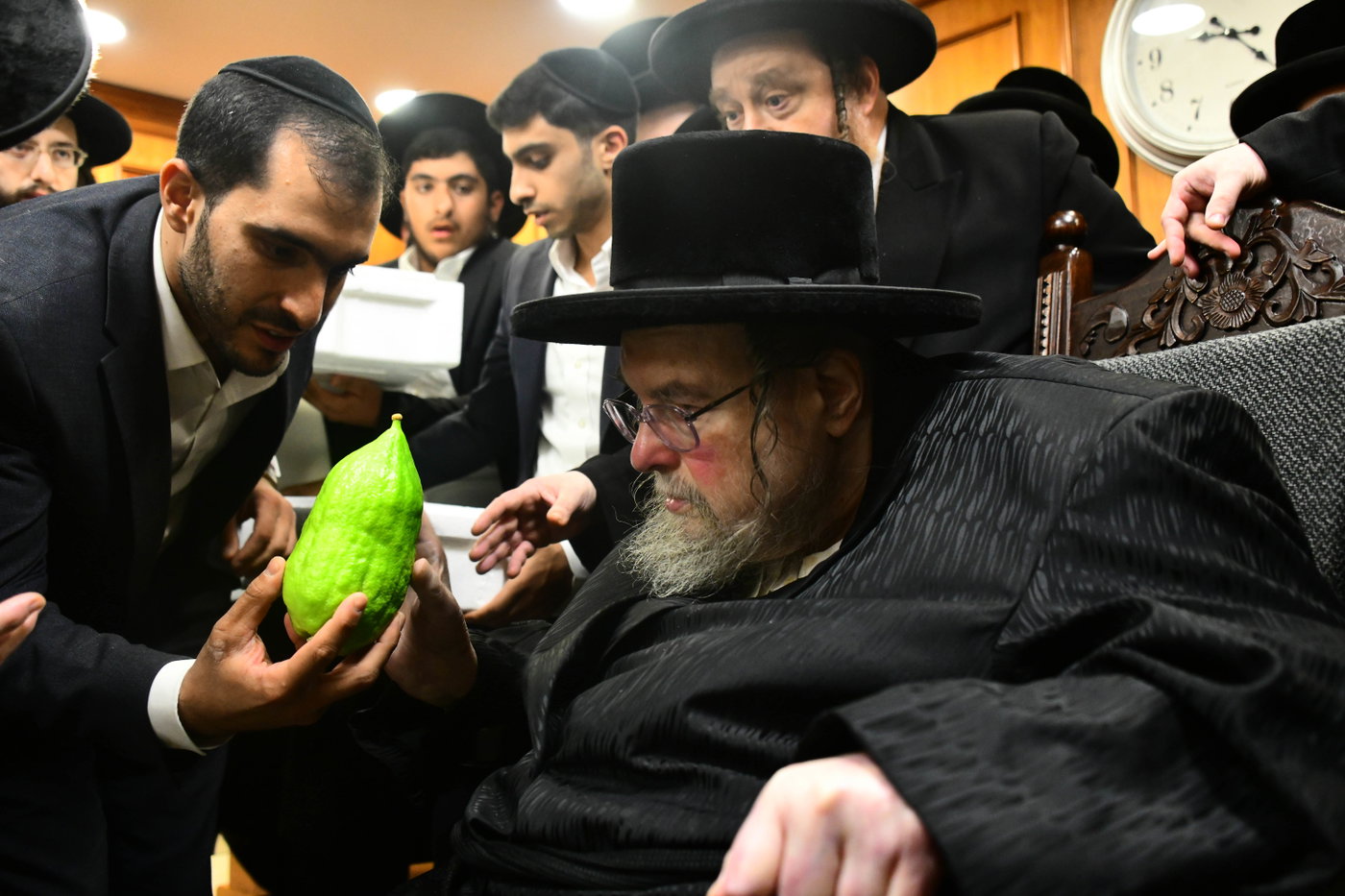 האדמו"ר מבעלזא בקבלת אתרוגים לקראת חג הסוכות