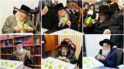 גדולי ישראל בקבלת אתרוגים לקראת חג הסוכות