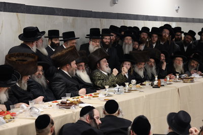 שמחת בית ויז'ניץ