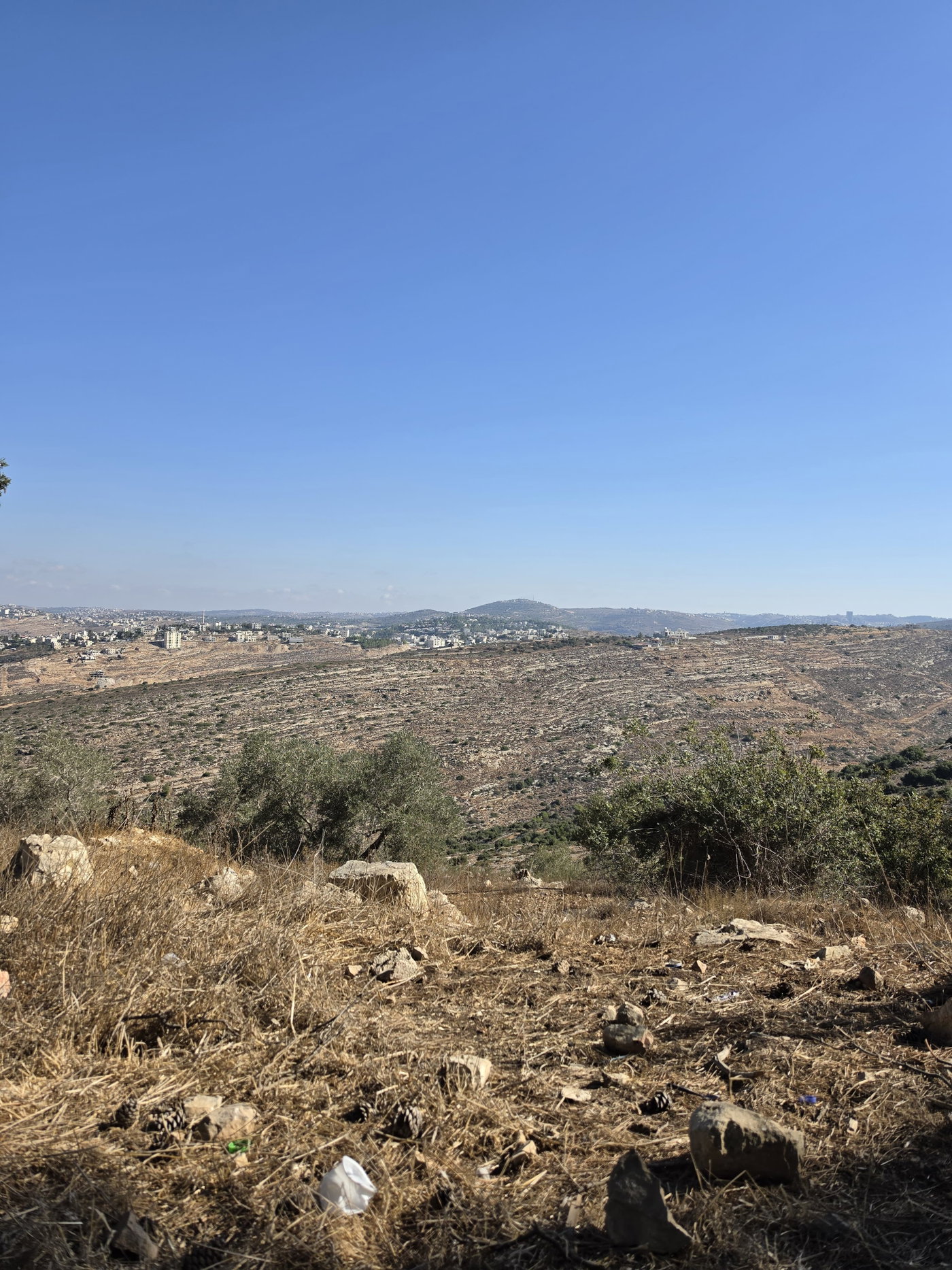 ואדי אלצ'בעא "גי צבועים" המערבי בסמוך לחוות מעוז צור ולכפר דיר עבזיע