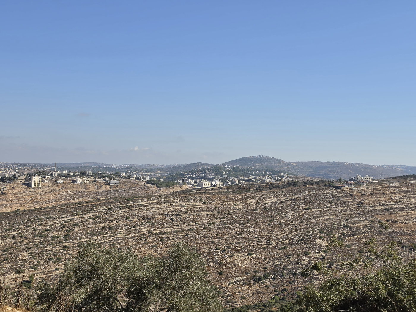 ואדי אלצ'בעא "גי צבועים" המערבי בסמוך לחוות מעוז צור ולכפר דיר עבזיע