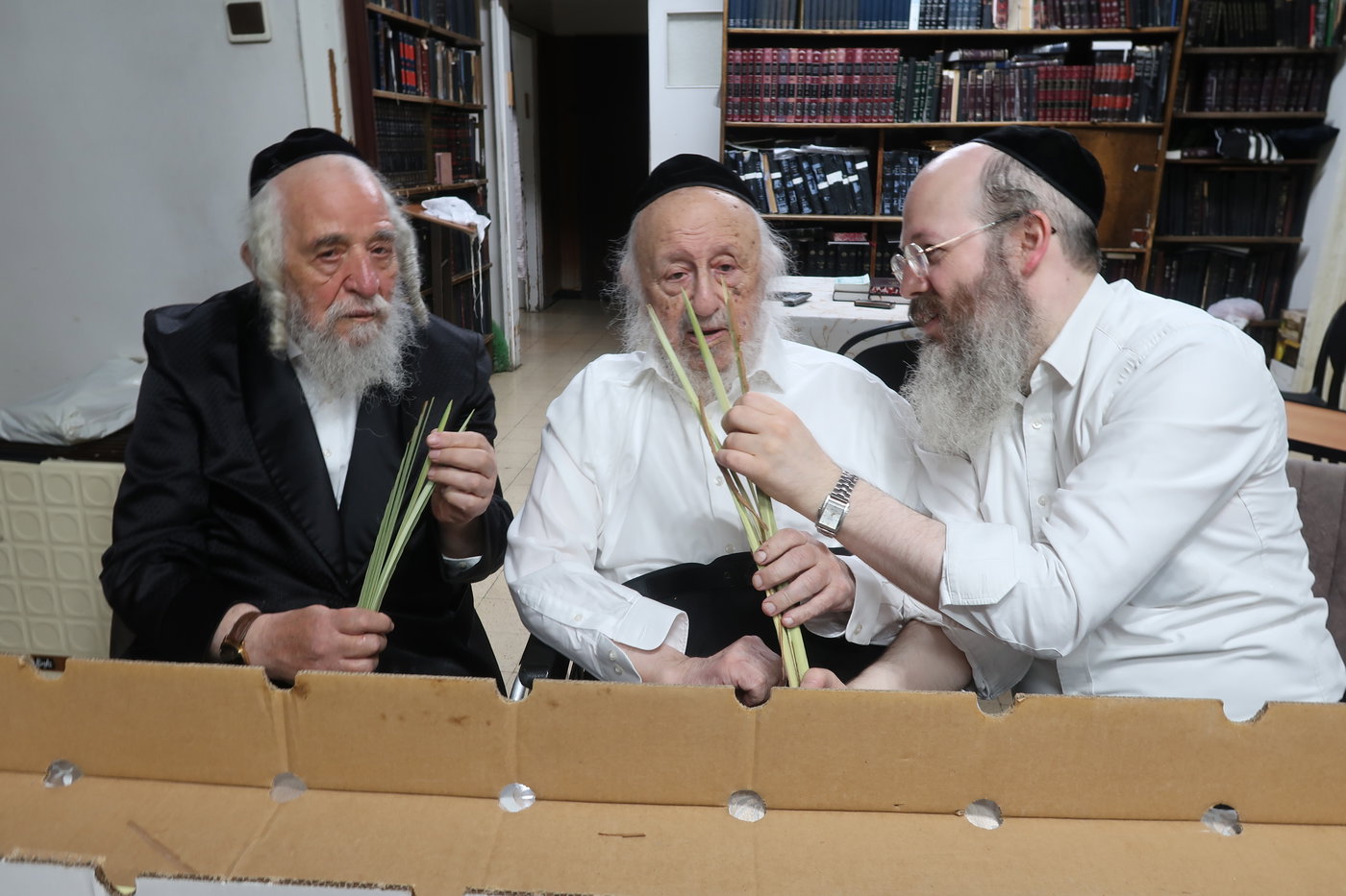 הגרב"ד פוברסקי בבדיקת לולבים