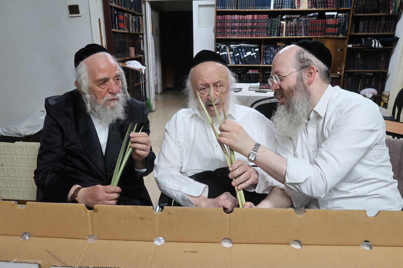 הגרב"ד פוברסקי בבדיקת לולבים