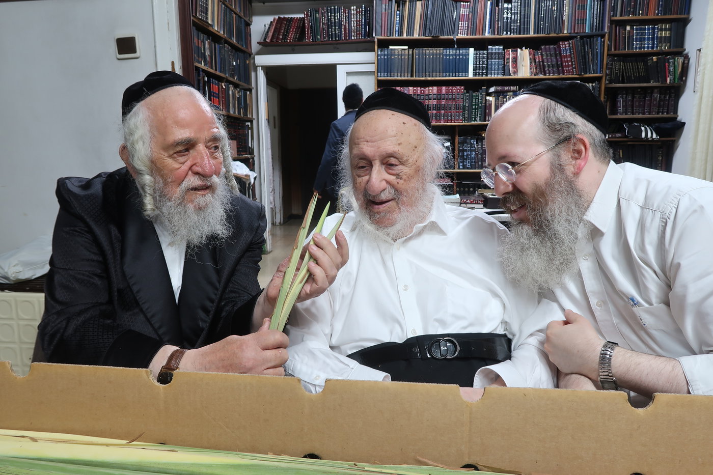 הגרב"ד פוברסקי בבדיקת לולבים