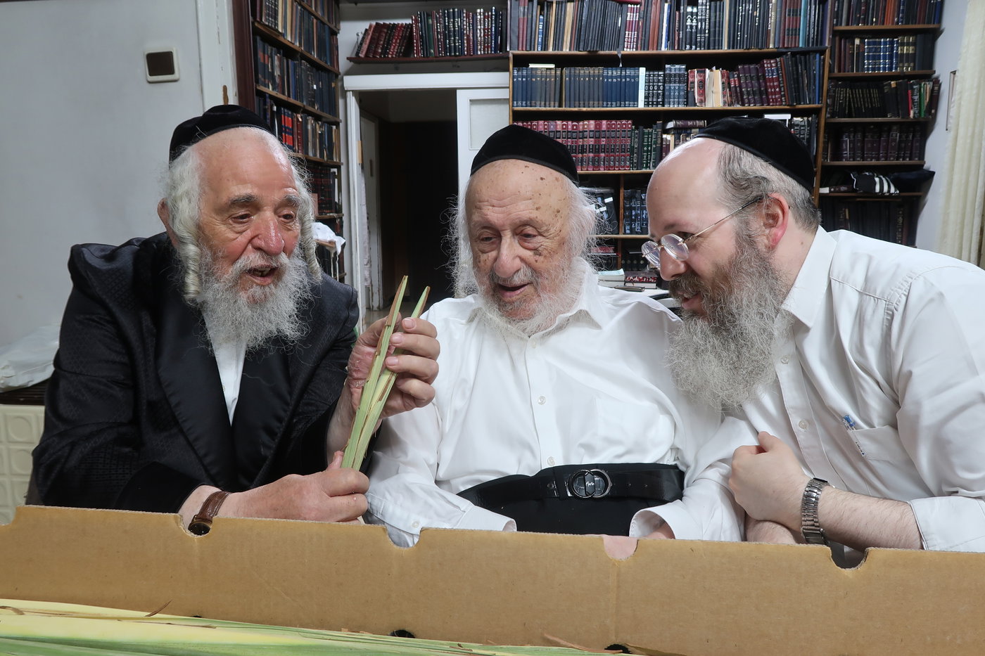 הגרב"ד פוברסקי בבדיקת לולבים