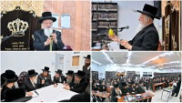 הגרי"מ שטרן בספינקא בית שמש