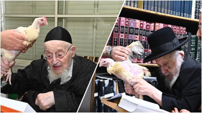 הגרמ"צ ברגמן והגרב"ד פוברסקי במנהג כפרות