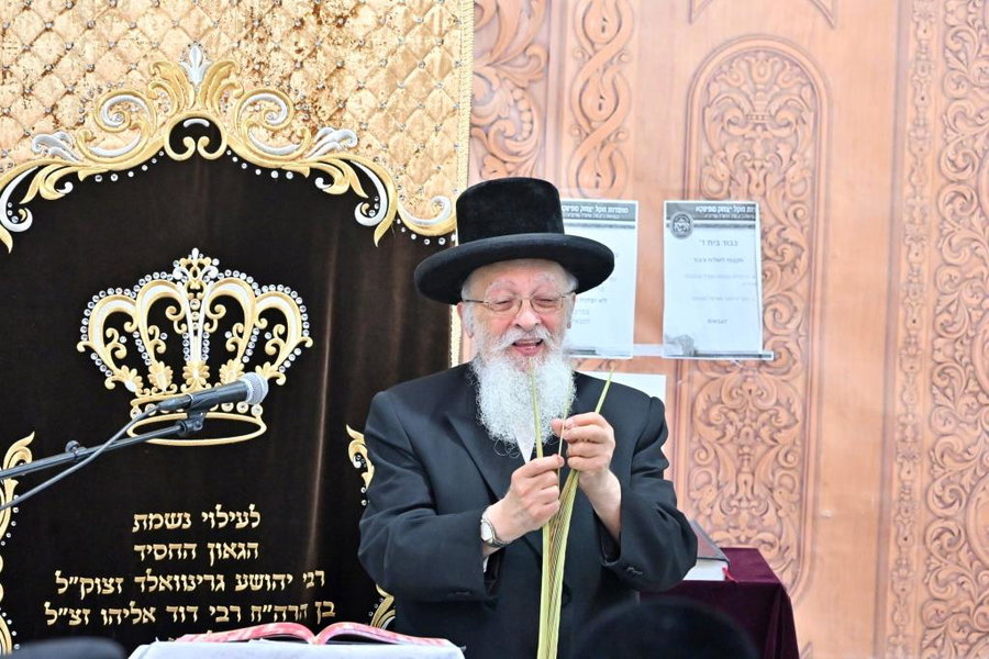 ברמת בית שמש ד': הדיין הבכיר שלף את ד' המינים והכריע בשאלות צום יום הכיפורים