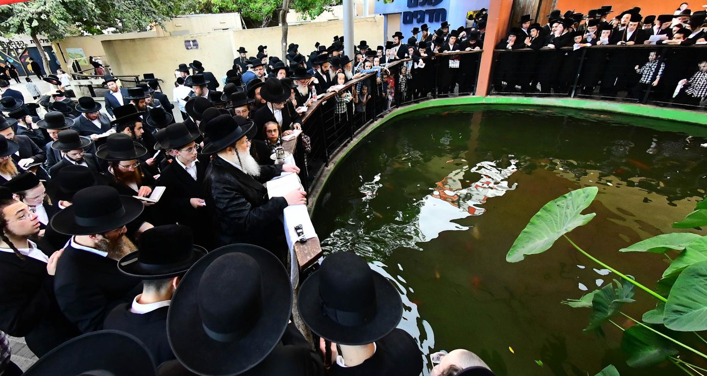 האדמו"ר ממודז'יץ בתשליך