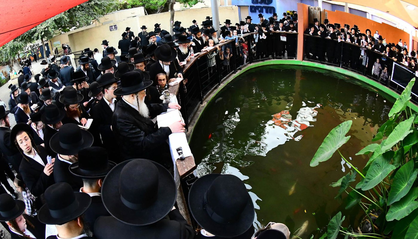 האדמו"ר ממודז'יץ בתשליך