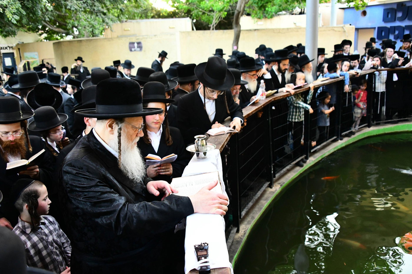 האדמו"ר ממודז'יץ בתשליך