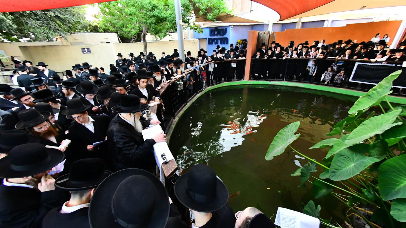 האדמו"ר ממודז'יץ בתשליך