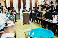 האדמו"ר משבט הלוי בתשליך