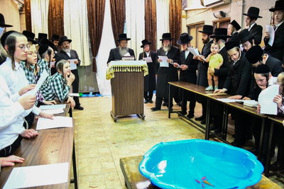 האדמו"ר משבט הלוי בתשליך
