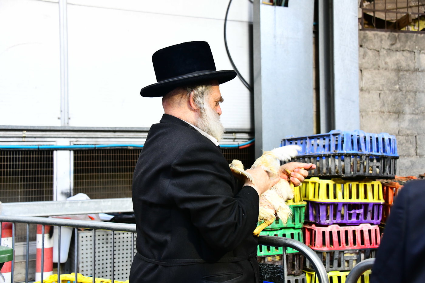 מנהג כפרות בבני ברק