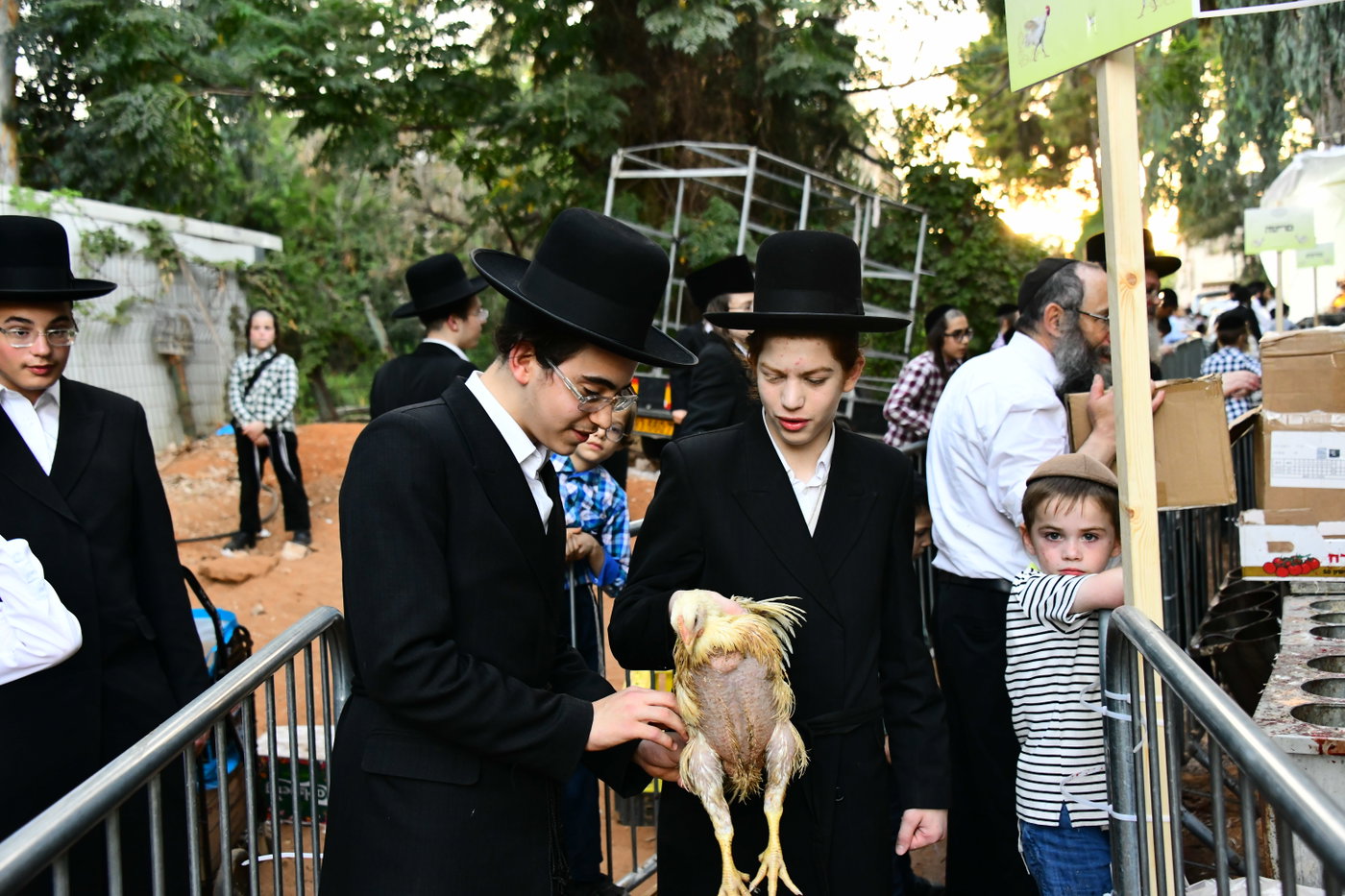 מנהג כפרות בבני ברק