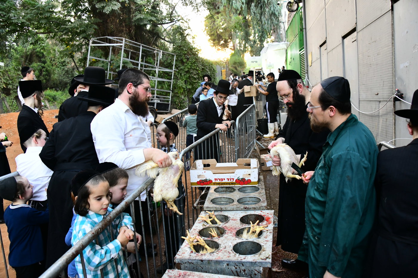 מנהג כפרות בבני ברק