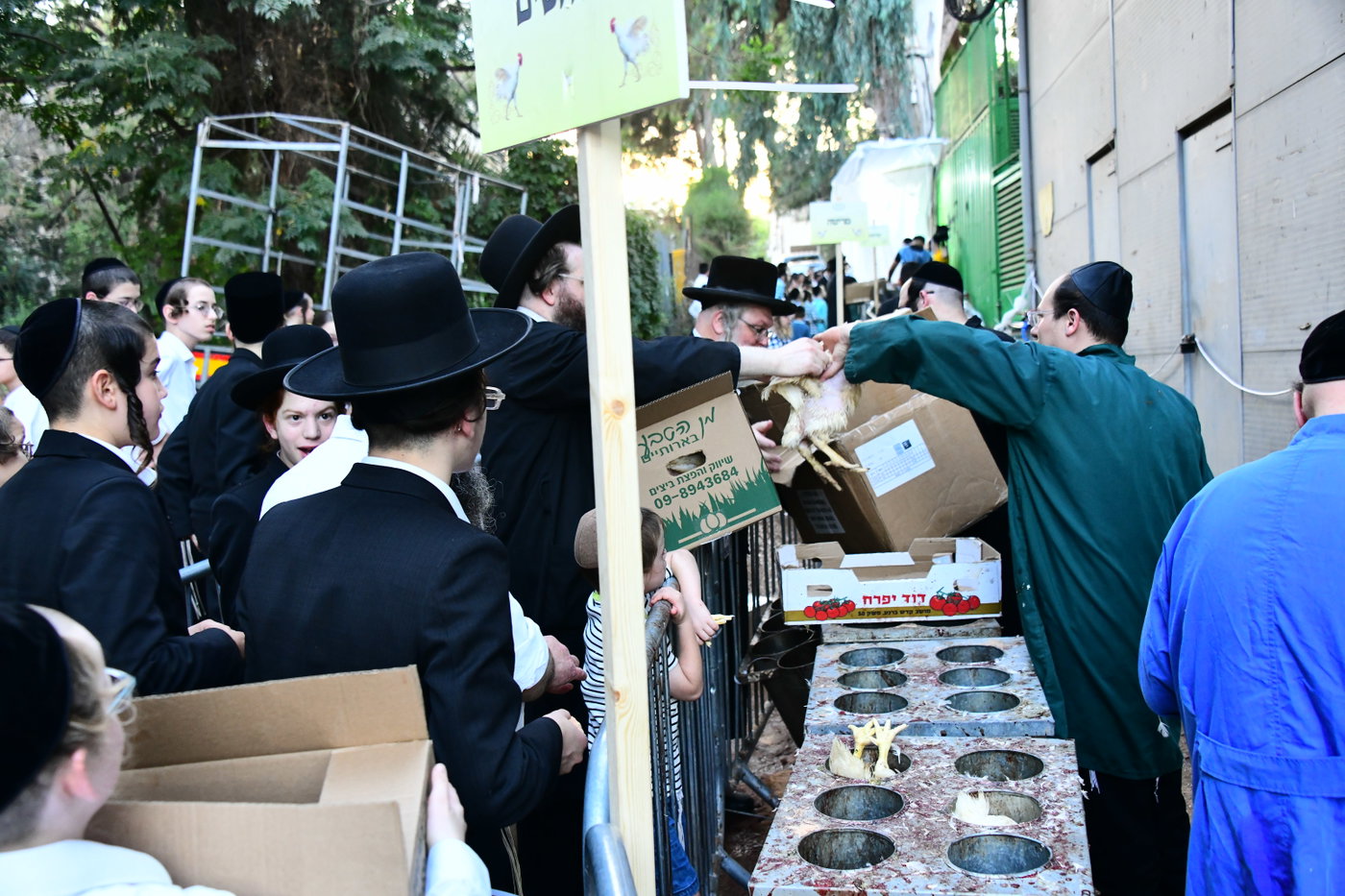 מנהג כפרות בבני ברק