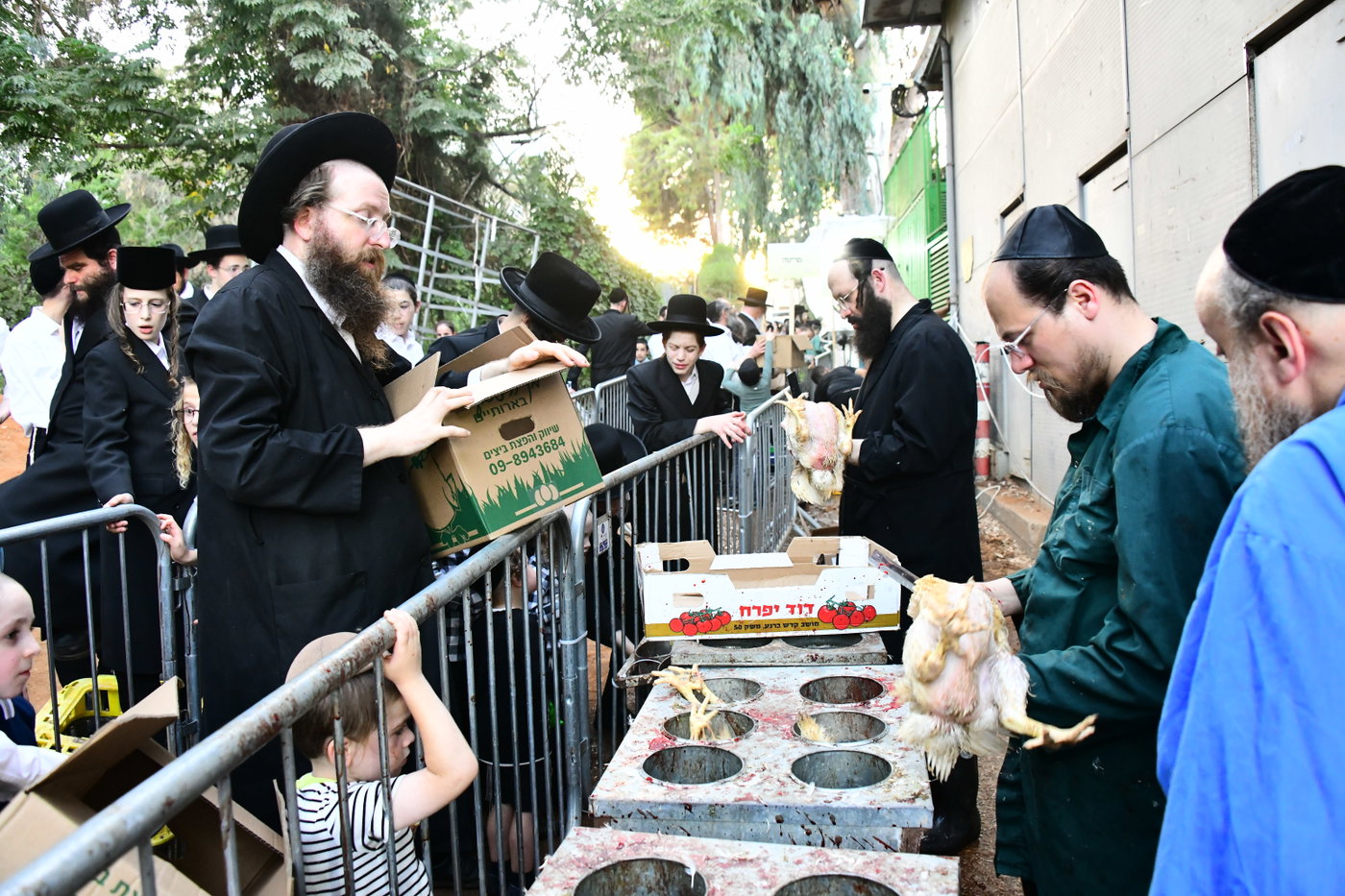 מנהג כפרות בבני ברק