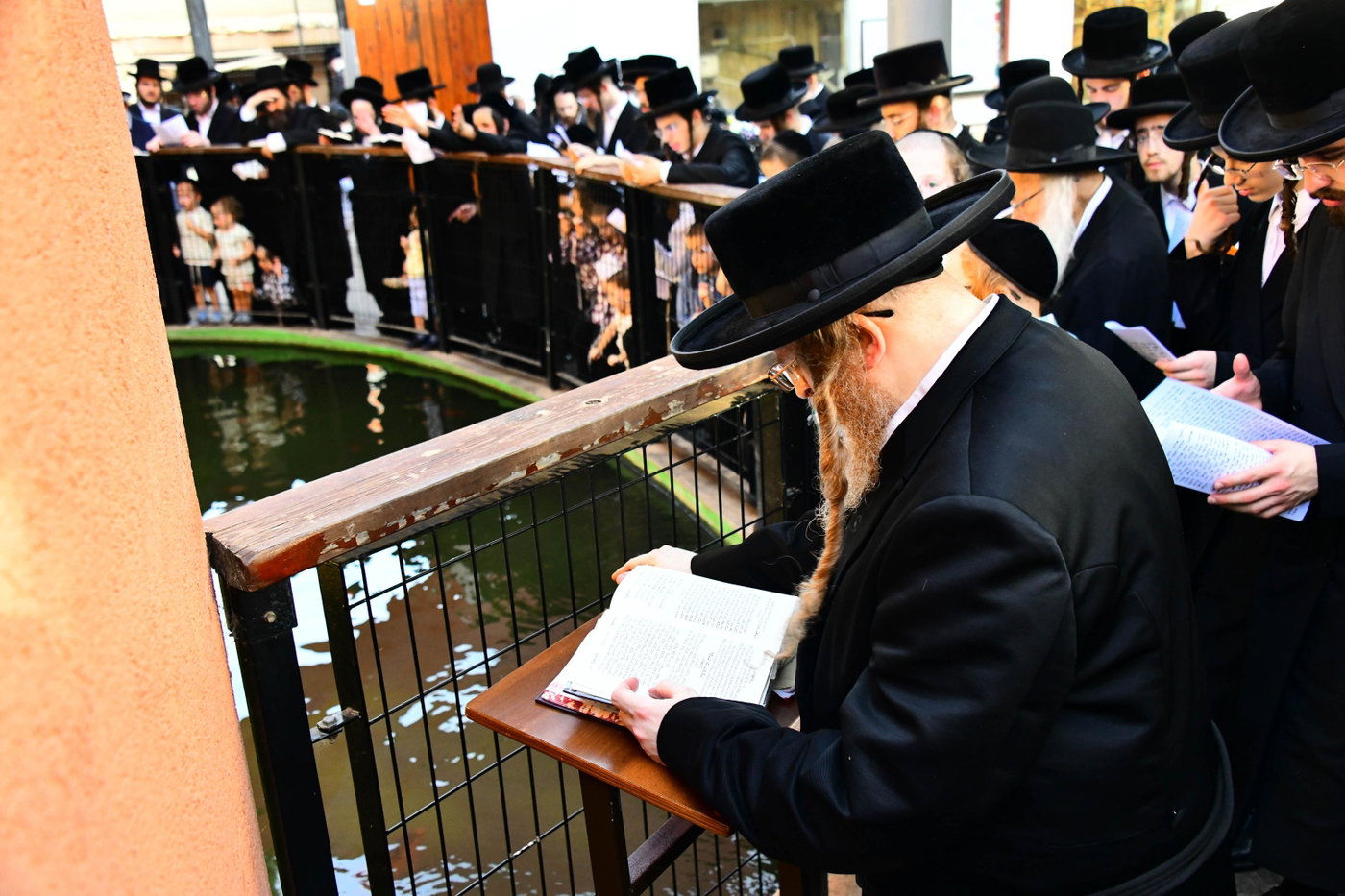 האדמו"ר משומרי אמונים בתשליך