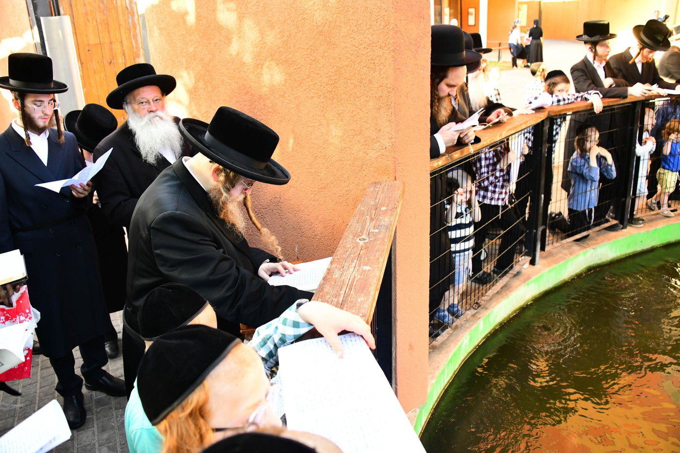 האדמו"ר משומרי אמונים בתשליך