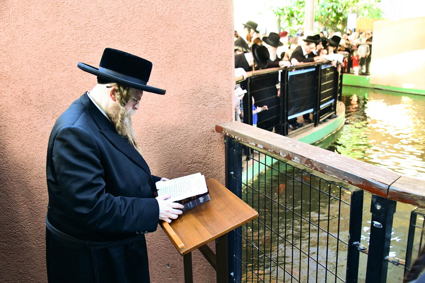 האדמו"ר משומרי אמונים בתשליך