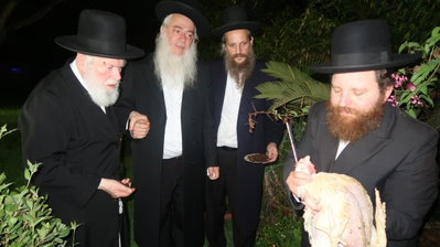 הגר"י זילברשטיין במנהג כפרות