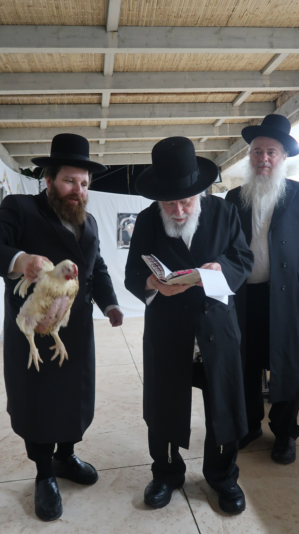הגר"י זילברשטיין במנהג כפרות