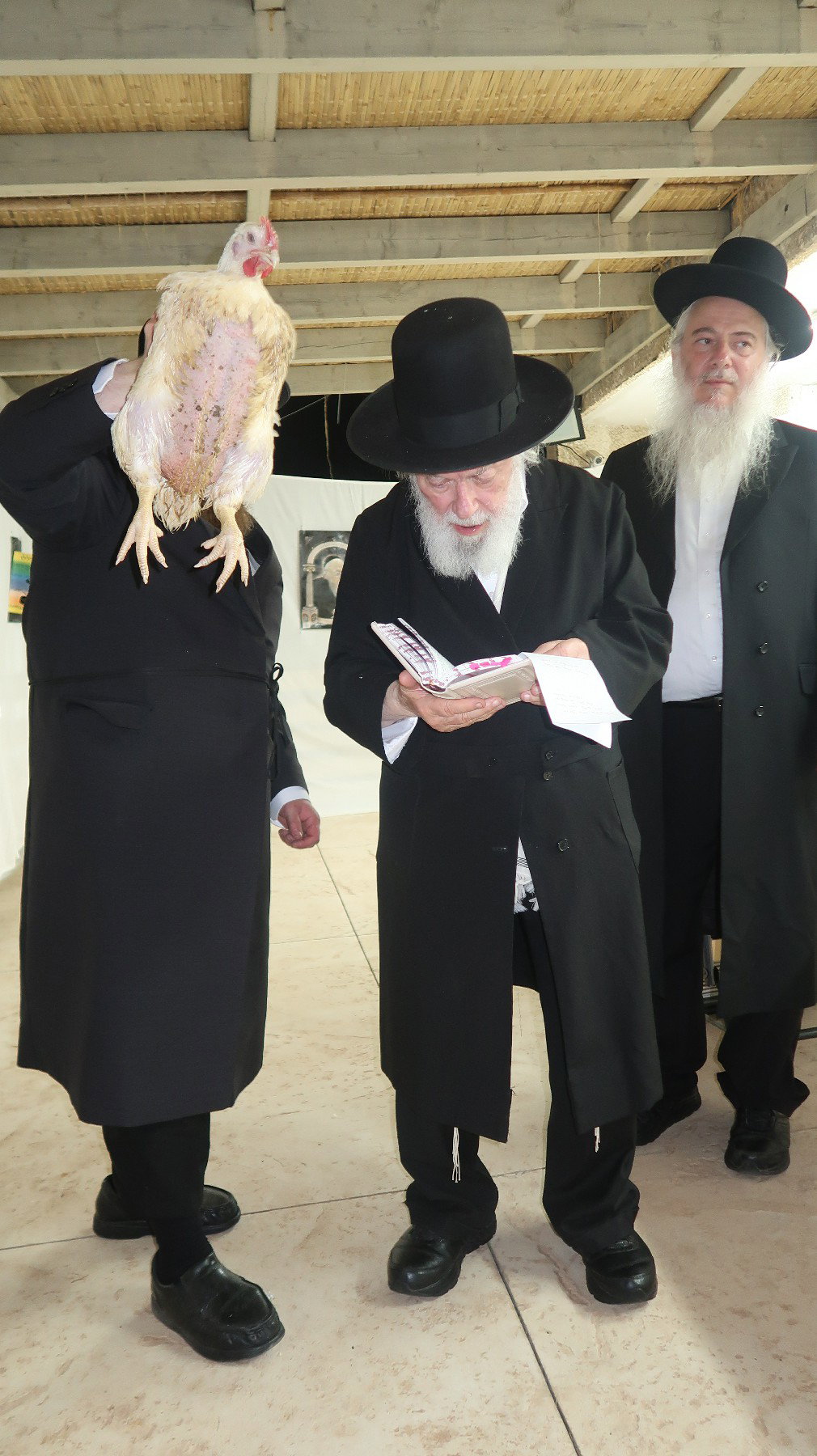 הגר"י זילברשטיין במנהג כפרות