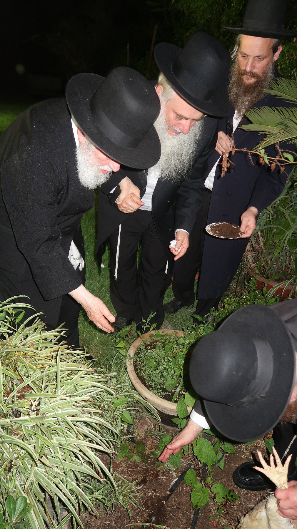 הגר"י זילברשטיין במנהג כפרות