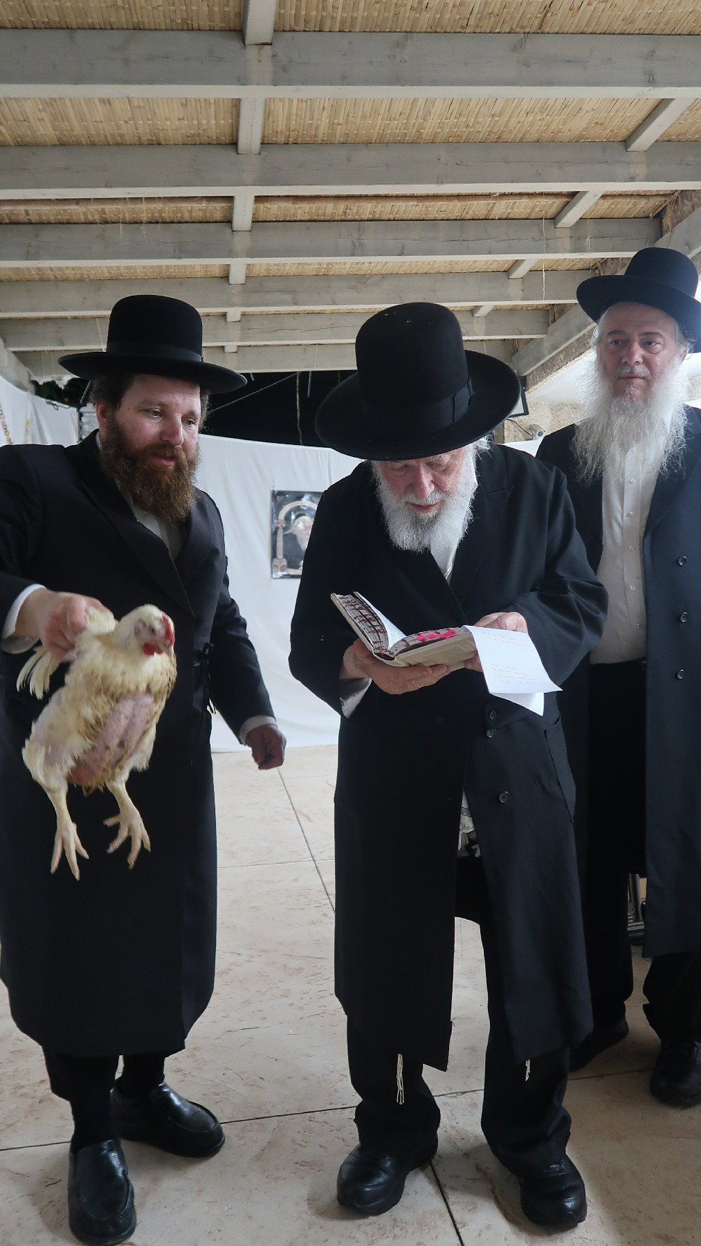 הגר"י זילברשטיין במנהג כפרות