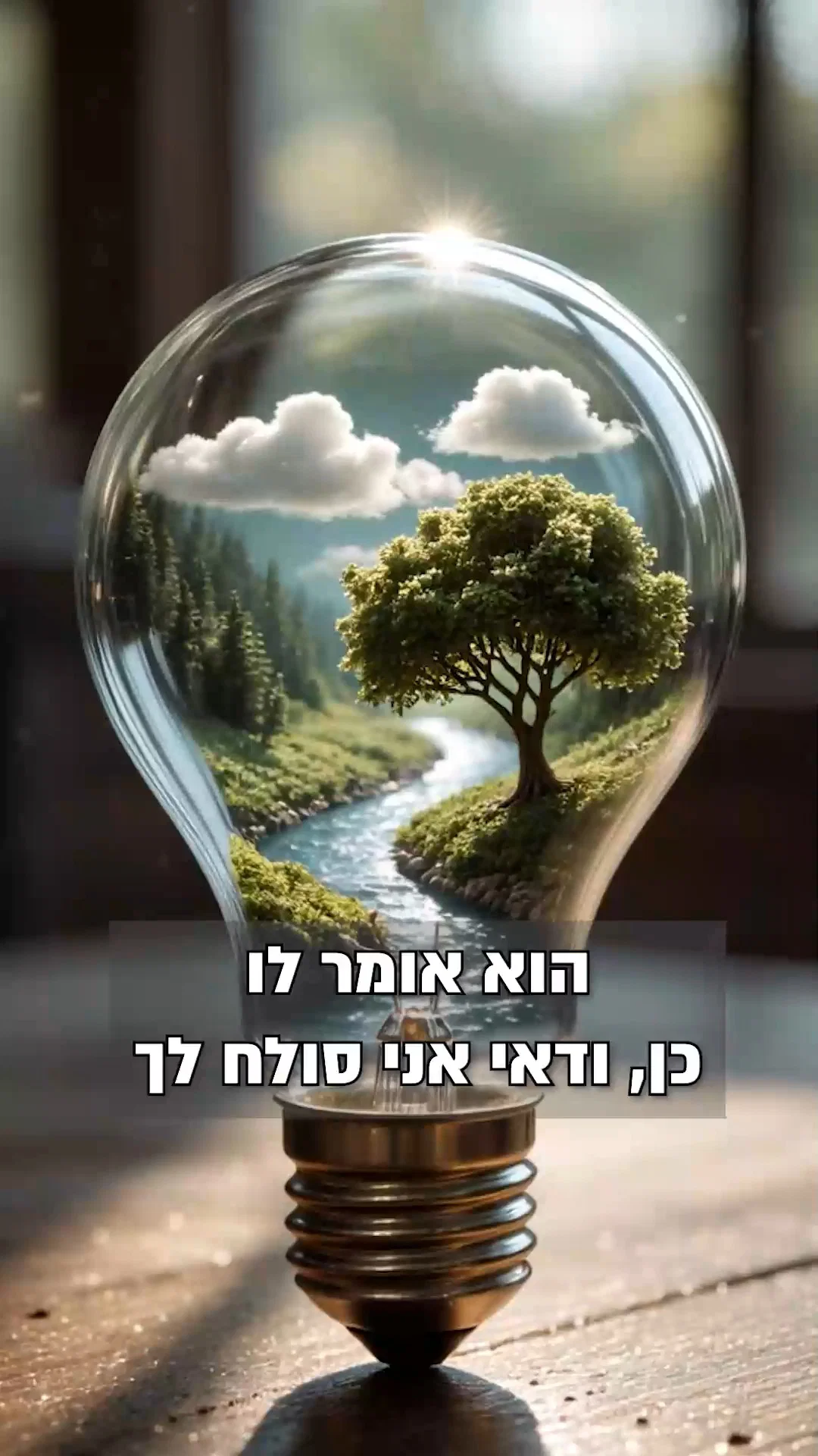 המעביר על מידותיו וסולח - מרוויח בענק | צפו ברבי אלימלך בידרמן