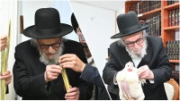 בחדר הספרים בגבעת סלבודקה: ראש הישיבה ערך כפרות ובדק את הלולבים