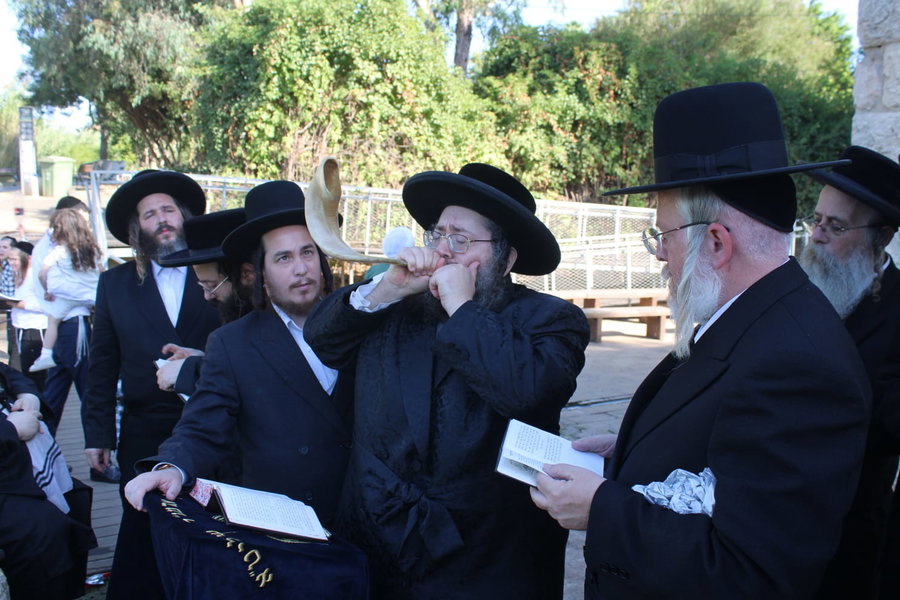 הדגים רעדו; הרבי מצאנז ז'מיגראד והחסידים ב'תשליך' ב'שבע טחנות'