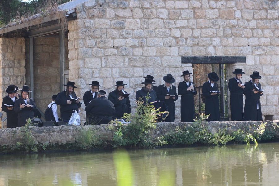 האדמו"ר מצאנז ז'ימגראד בתשליך