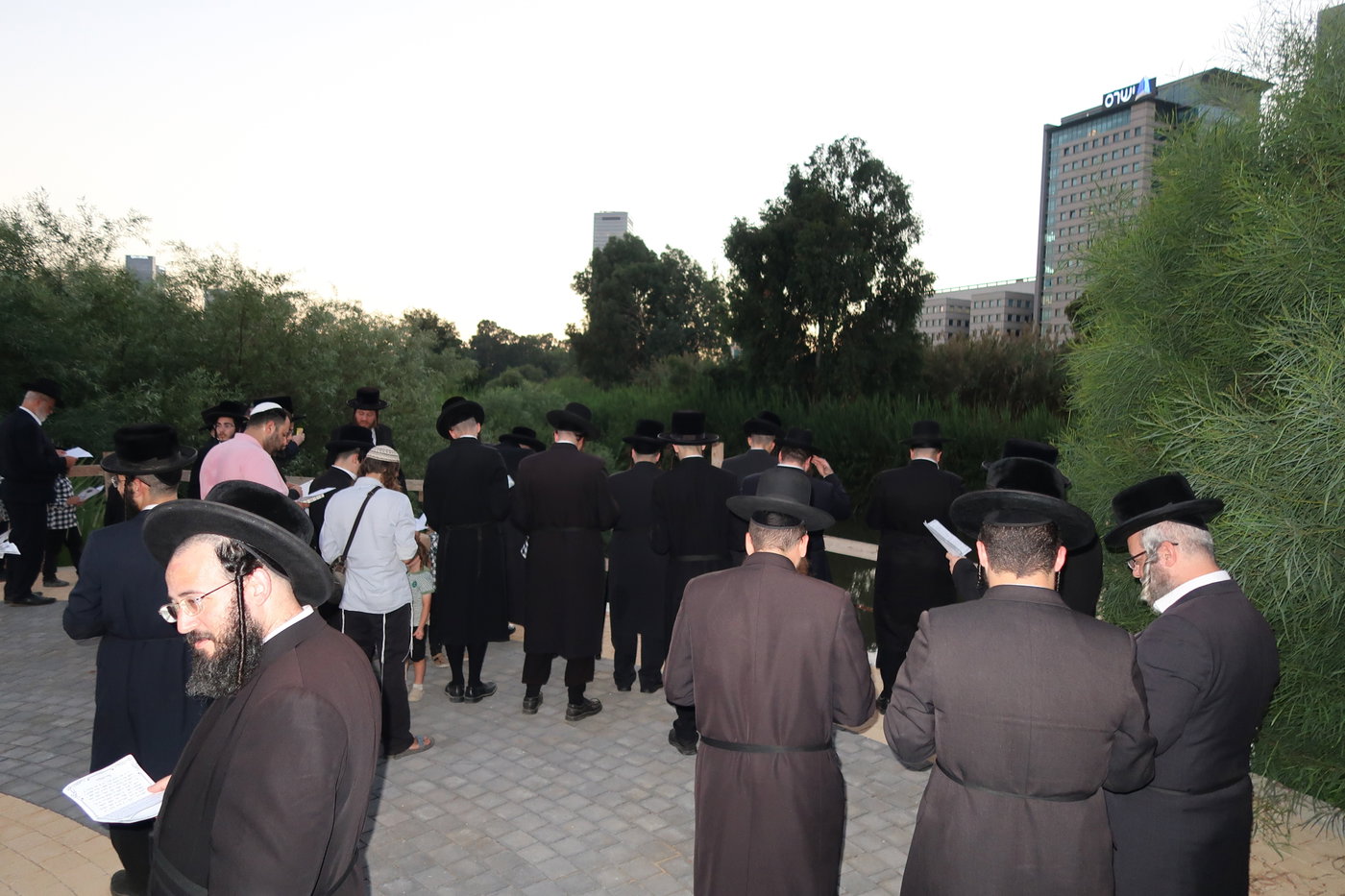 האדמו"ר ממיאלען בתשליך