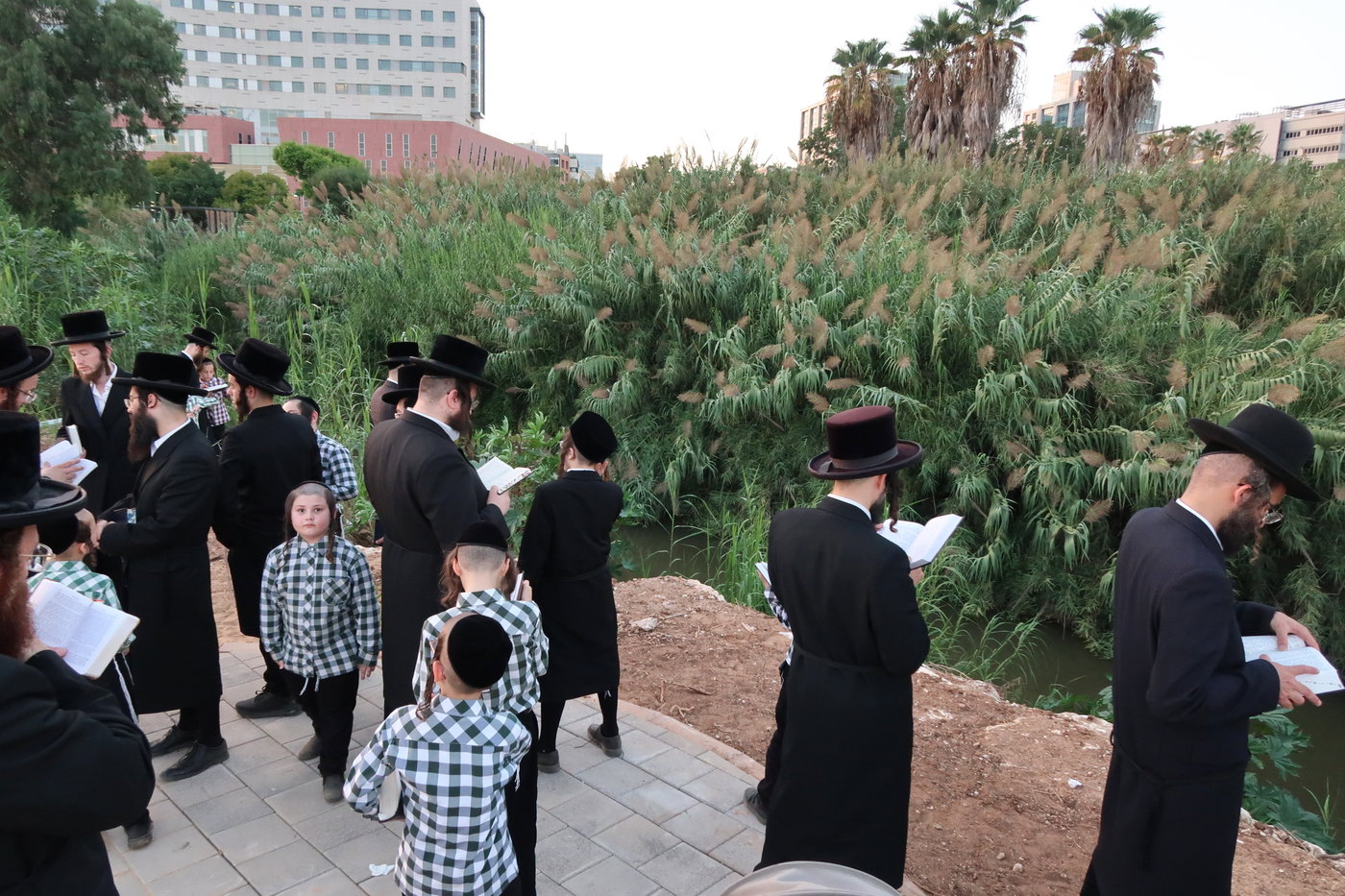 האדמו"ר ממיאלען בתשליך