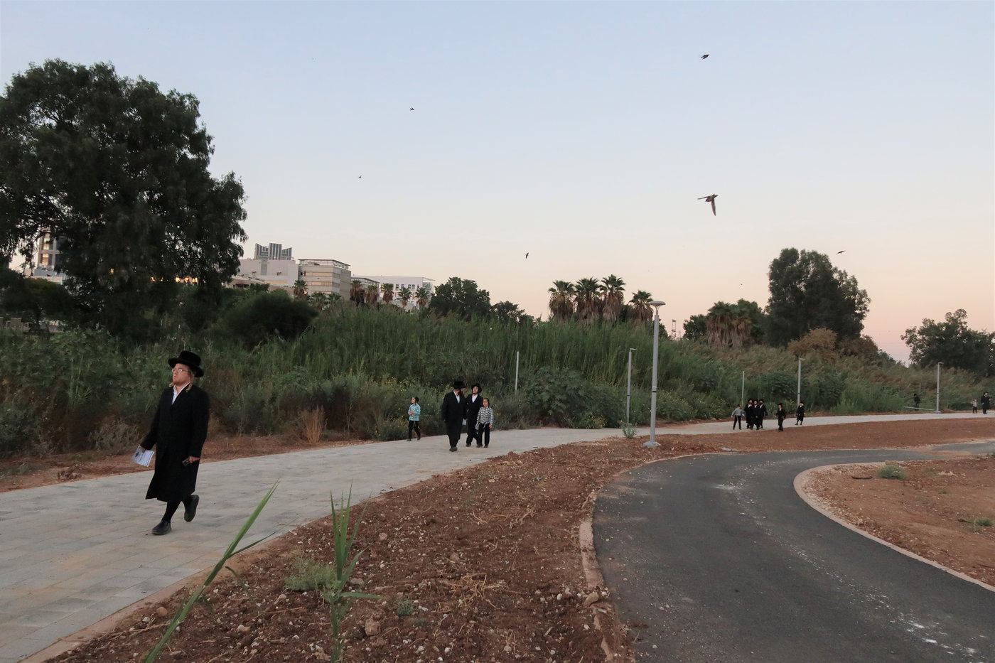 האדמו"ר ממיאלען בתשליך