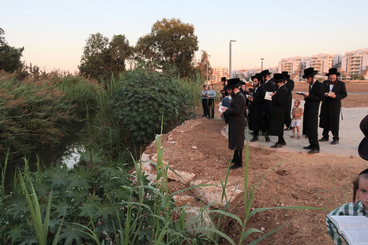 האדמו"ר ממיאלען בתשליך