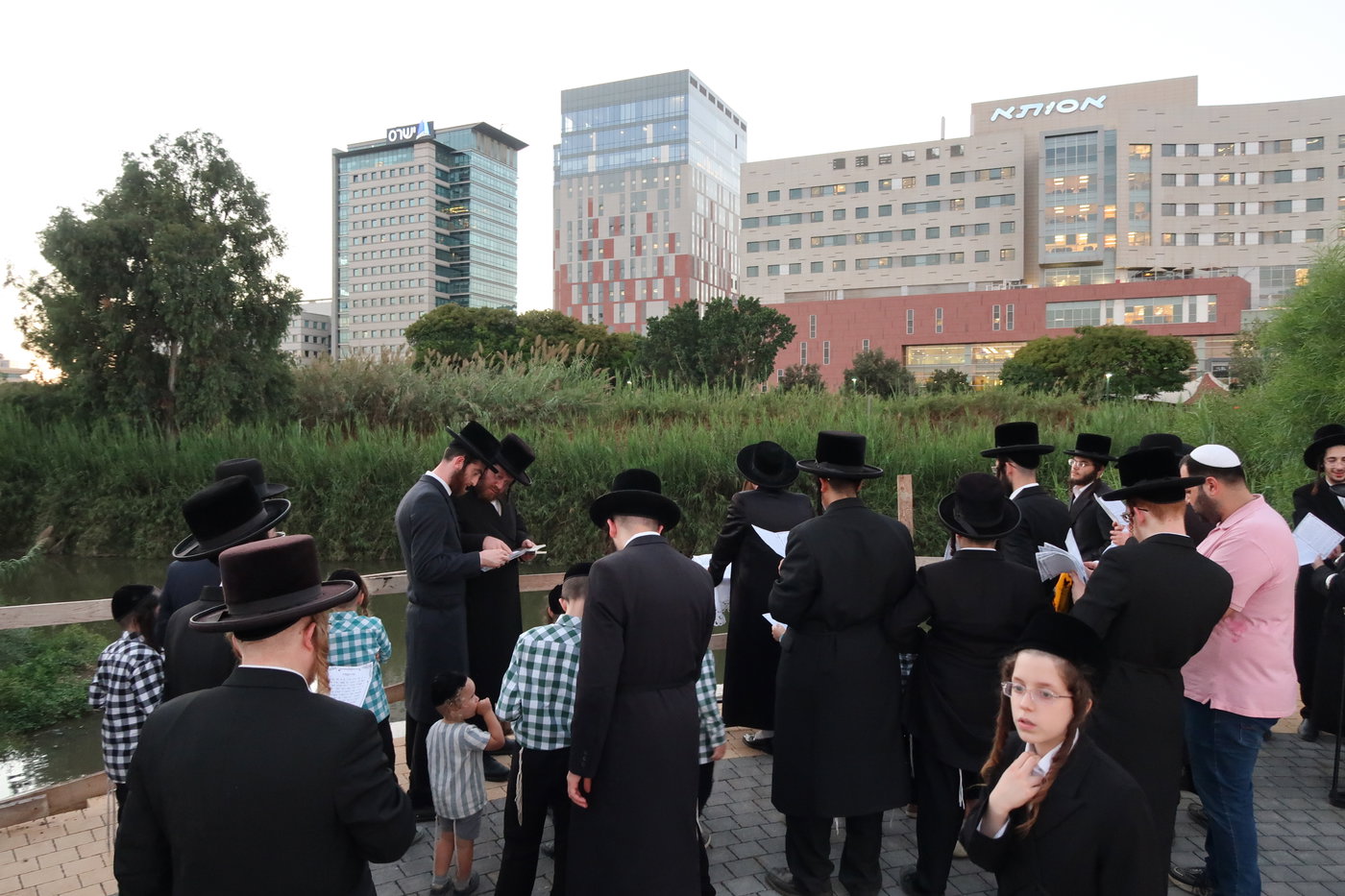 האדמו"ר ממיאלען בתשליך
