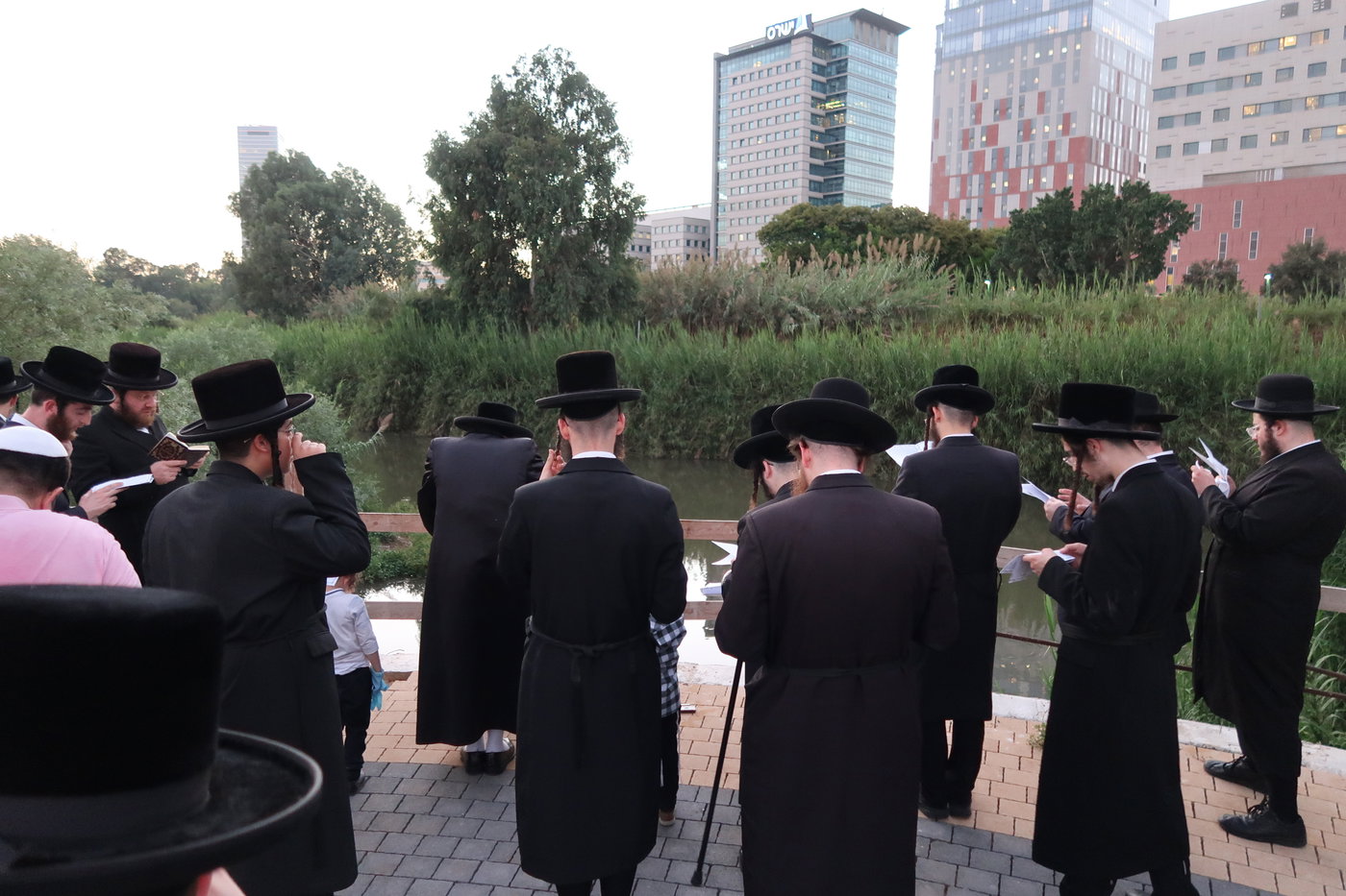 האדמו"ר ממיאלען בתשליך