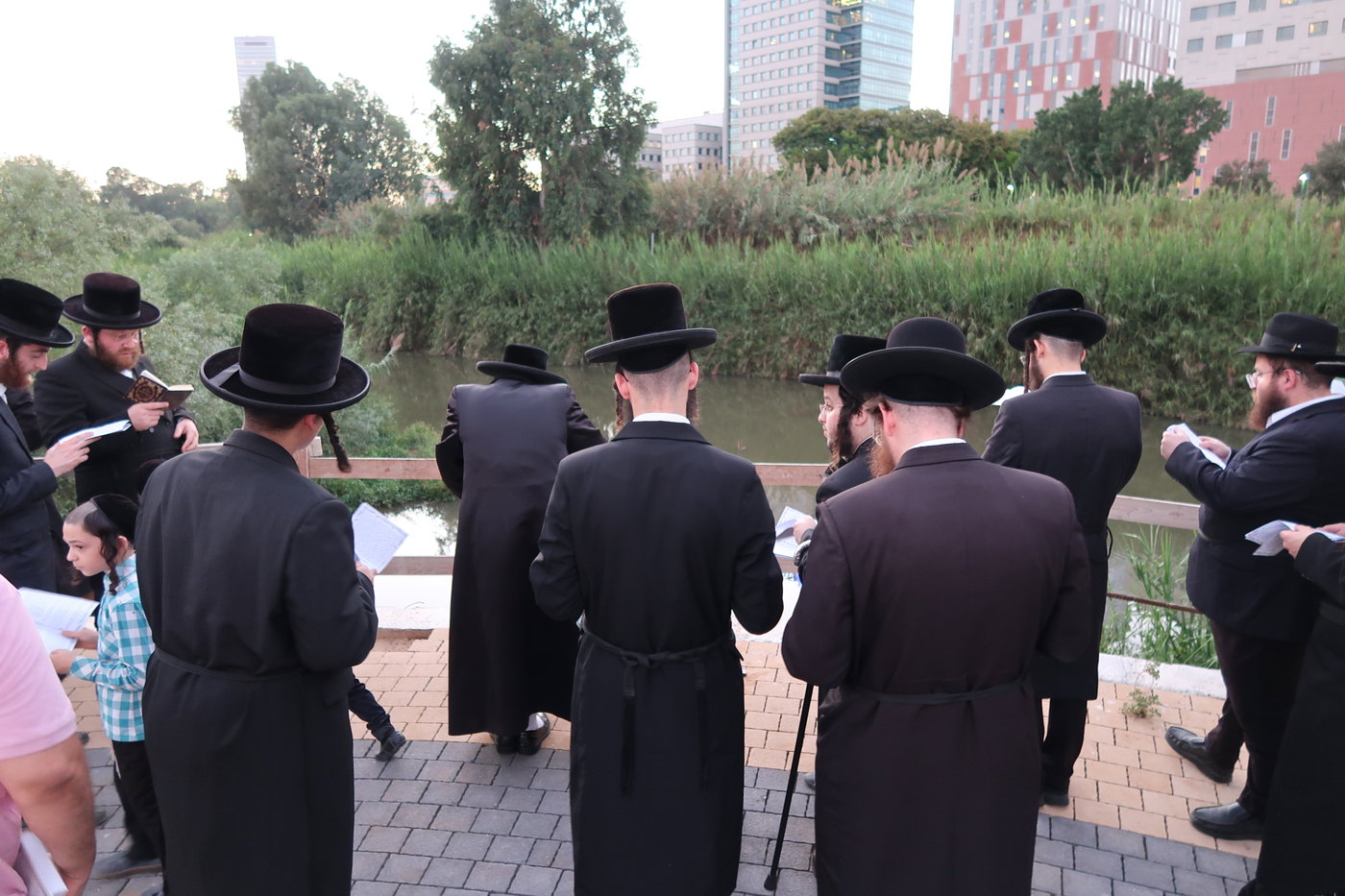 האדמו"ר ממיאלען בתשליך