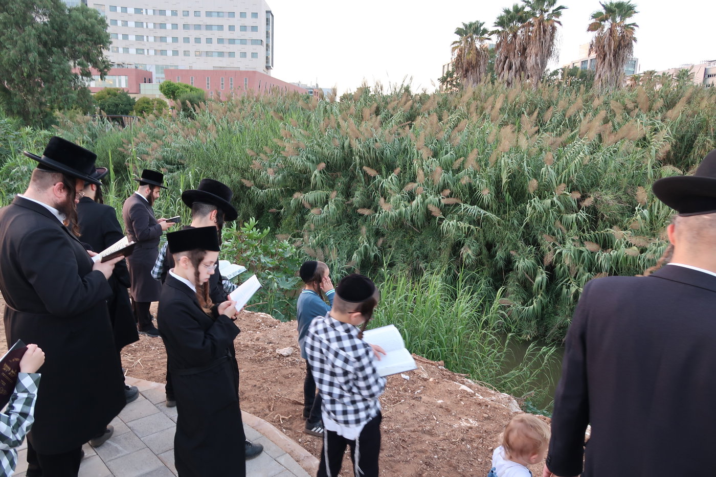 האדמו"ר ממיאלען בתשליך