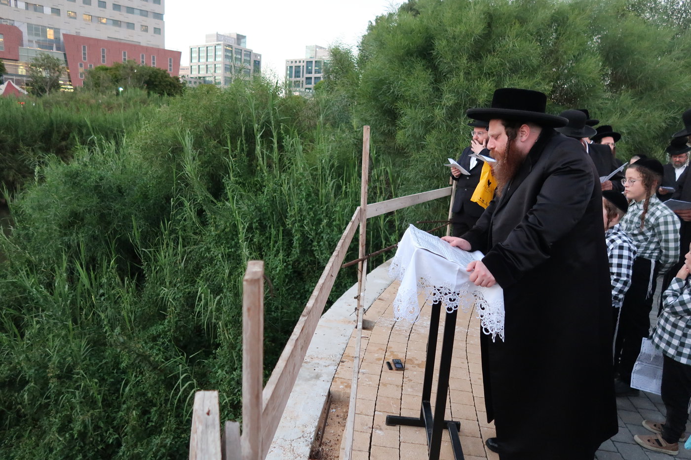 האדמו"ר ממיאלען בתשליך