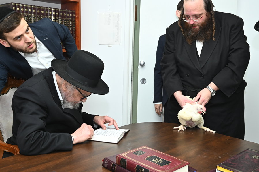 בחדר הספרים בגבעת סלבודקה: ראש הישיבה ערך כפרות ובדק את הלולבים