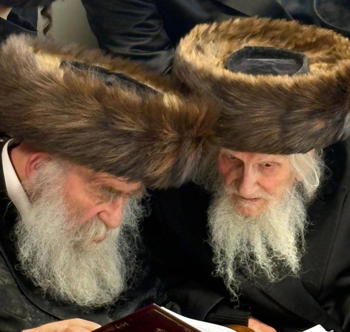 הגר"מ אויערבאך זצוק"ל עם האדמו"ר ממאקאווא
